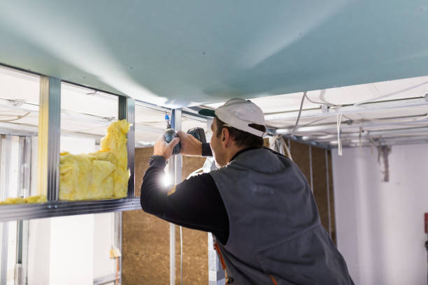 Best Residential Insulation in Delft Colony, CA
