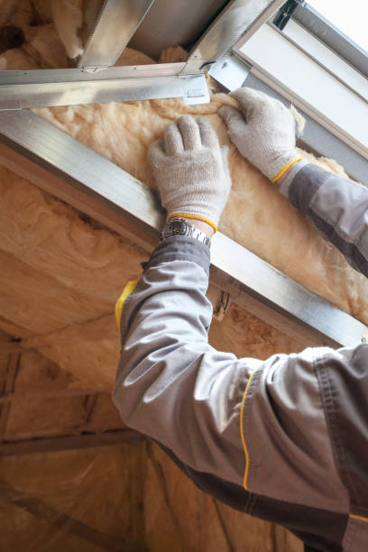 Best Spray Foam Insulation in Delft Colony, CA