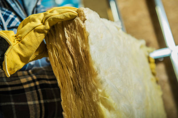 Best DIY Insulation Kits and Guidance in Delft Colony, CA