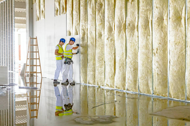 Best Insulation for Specific Applications in Delft Colony, CA
